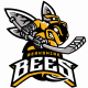 Berkshire Bees